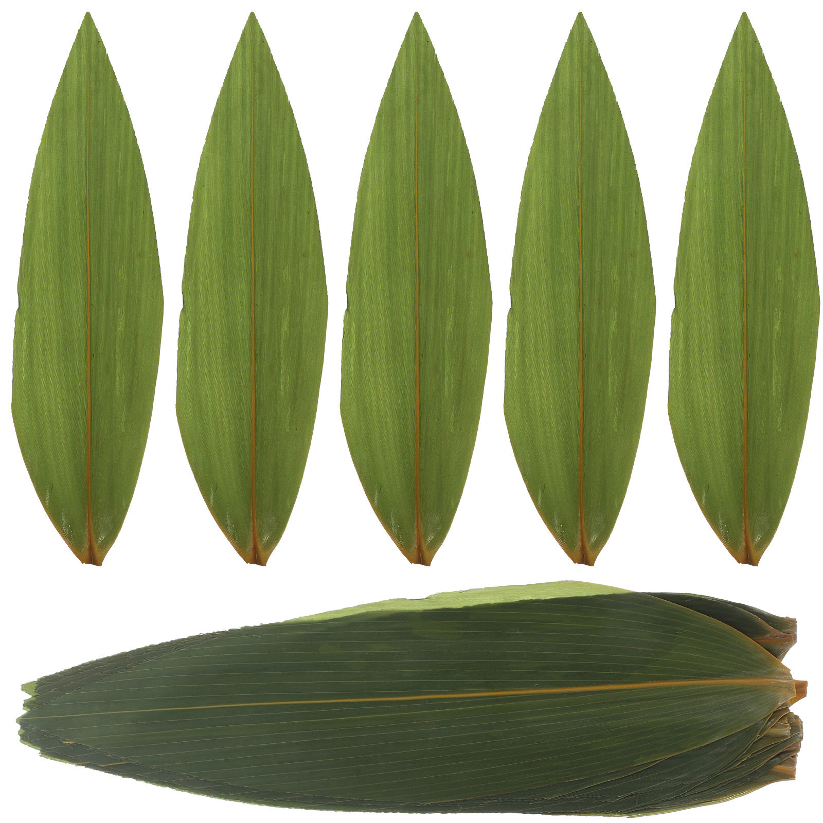100pcs Sushi Bamboo Leaves Sas - Sushi Mat Bamboo avaliação e preço